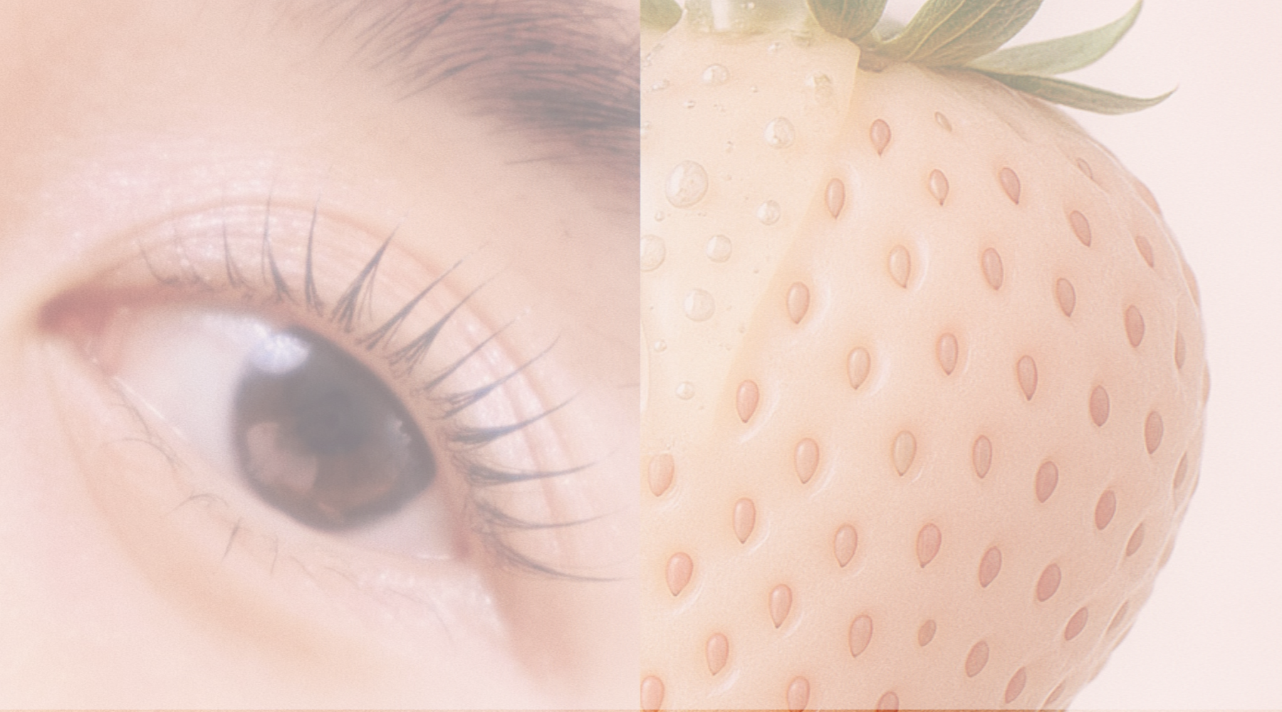 About the Popular Korean Lash Lift Technique: A Healthier Technique for Lash Lifts