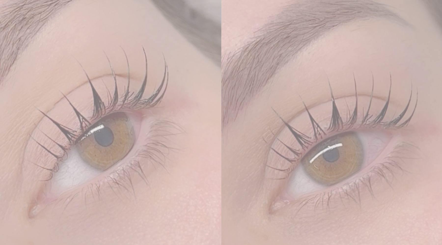 Korean Lash Lift Frequently Asked Questions