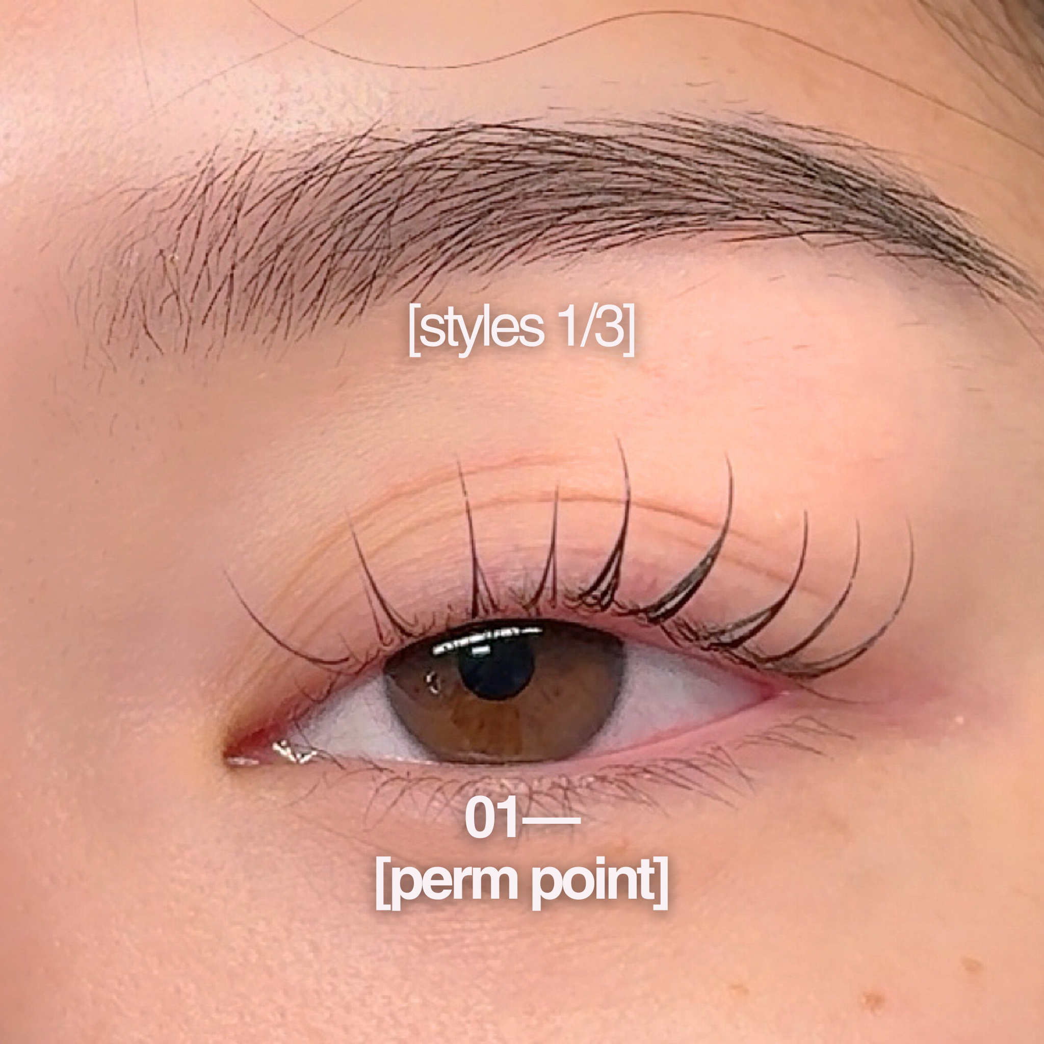 lift + extensions mini mastercourse